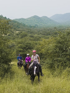 India-Rajasthan-Udaipur Riding Safari in Rajasthan